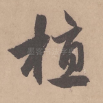 植