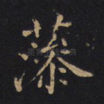 藻
