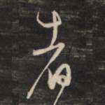 者