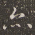 亦
