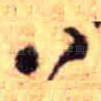 八