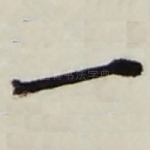 一
