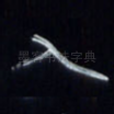 入