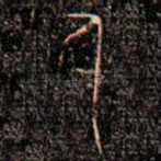 身