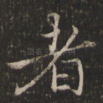 者