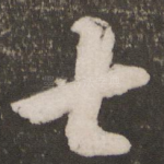士