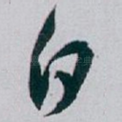 白