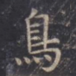 鸟