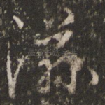 滋