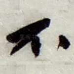 不