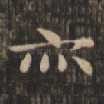 亦
