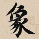 象