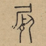 尸