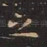 之