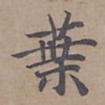 叶