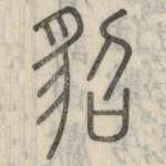 貂