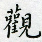 观