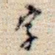 字