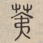 荑