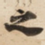 之