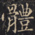 体
