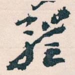 體