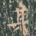 其