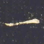 一