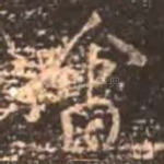 会