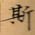 斯