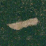 一