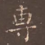 专