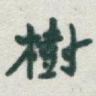 樹