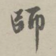 师