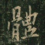 体