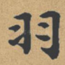 羽