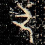 引