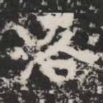 洛