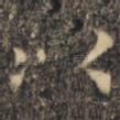 以