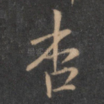 杏