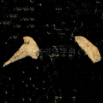 八