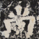 尚