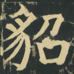 貂