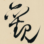 观