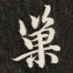 巢