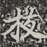 枝