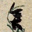 舍
