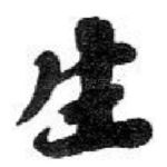 生