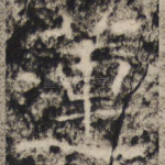 莲