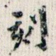 刻